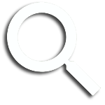 site search